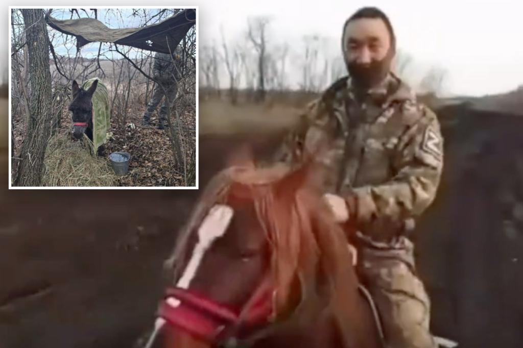 Russian army deploys horses, donkeys on Ukraine battlefield to dodge drones