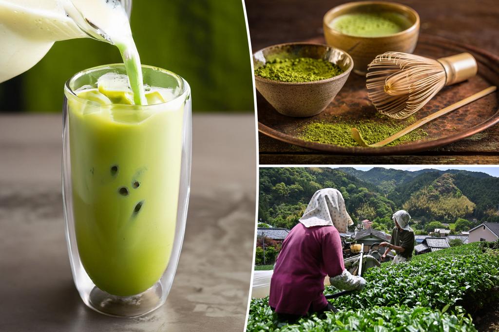 There’s no end in sight for the global matcha shortage — here’s why