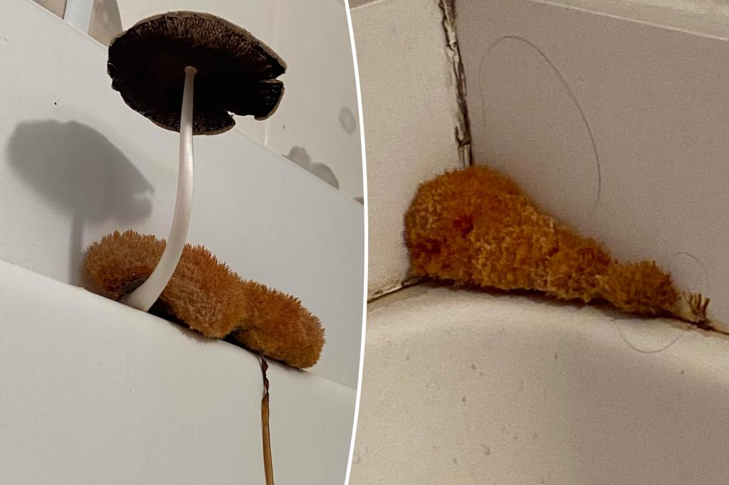 This shower ‘loofah’ is something much more horrifying: Reddit