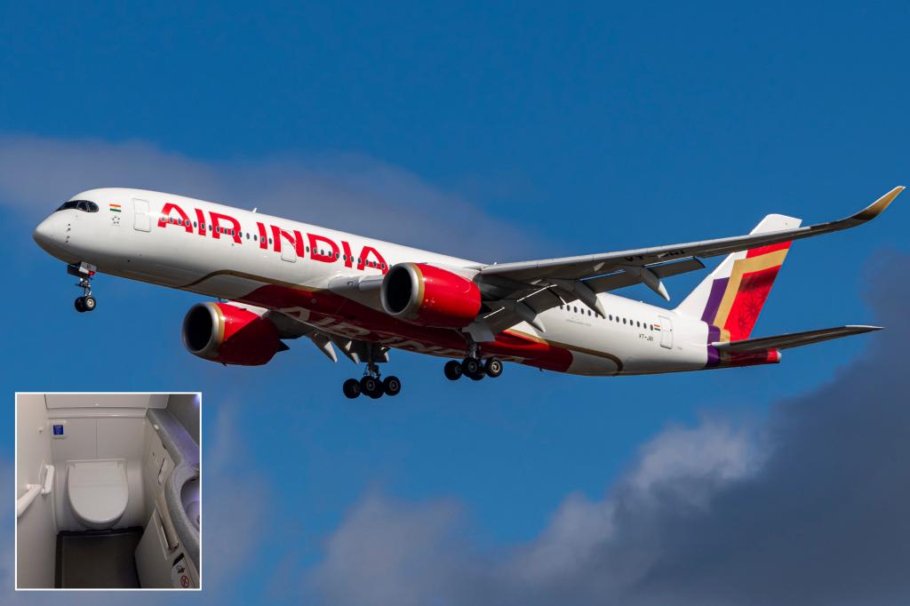 Air India pleads with passengers to drop this disgusting habit following bizarre bathroom disaster