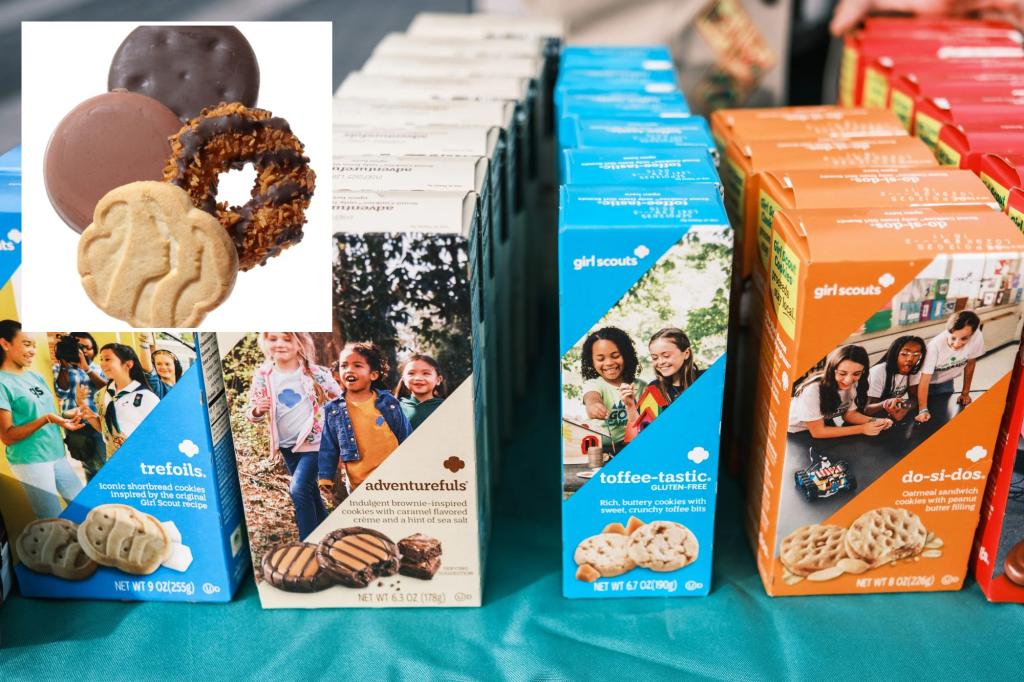 Girl Scouts sued over alleged heavy metals, pesticides in cookies