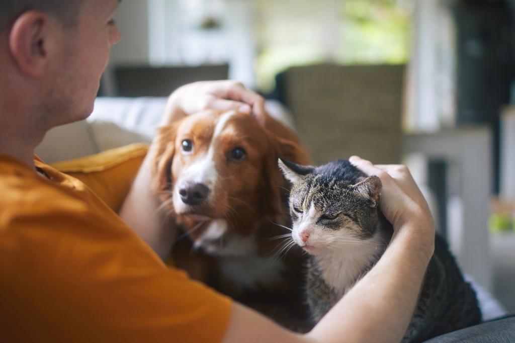 Worrying about whether your pet loves you linked to health issue