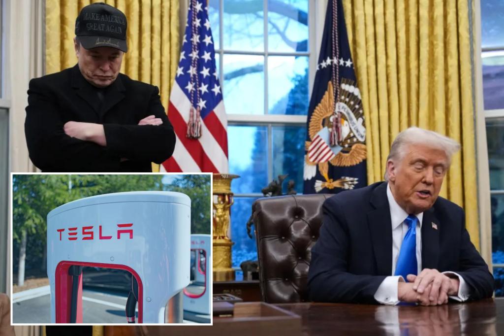 Trump announces he’ll buy brand new Tesla to support Elon Musk’s ‘baby’ following boycotts, dropping stock