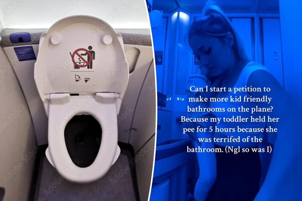 Mom bashed over entitled plea for ‘kid-friendly’ airplane bathrooms