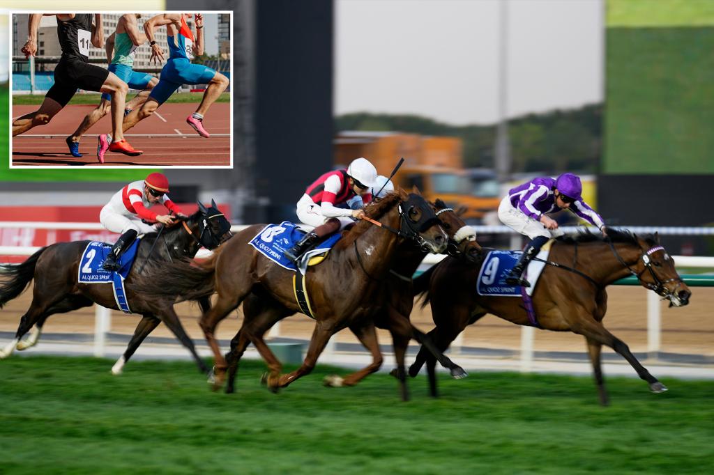 1 in 50 men believe they can outrun a horse, survey reveals