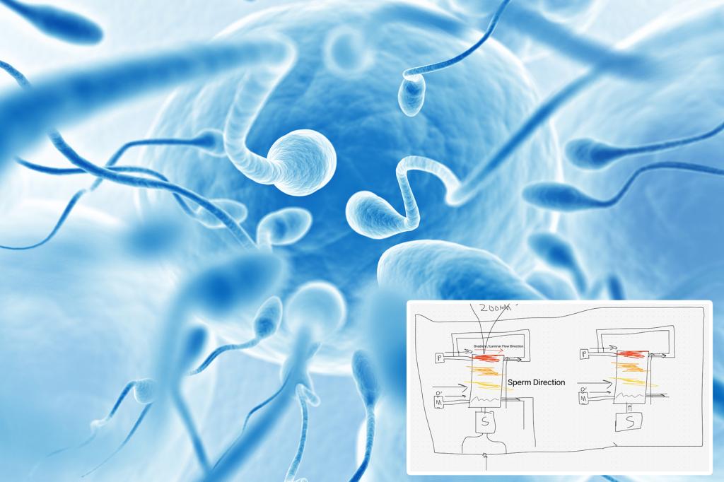 Millionaires are hosting the world’s first sperm race at iconic venue