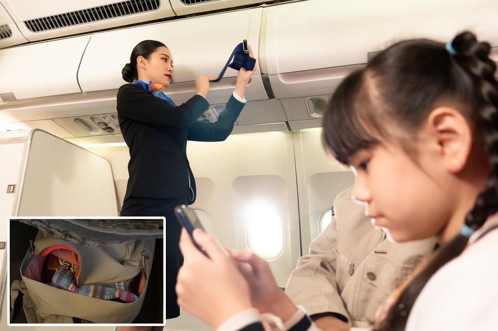 Passenger stunned after flight attendant claims unwritten rule mid-flight, even TSA disagrees