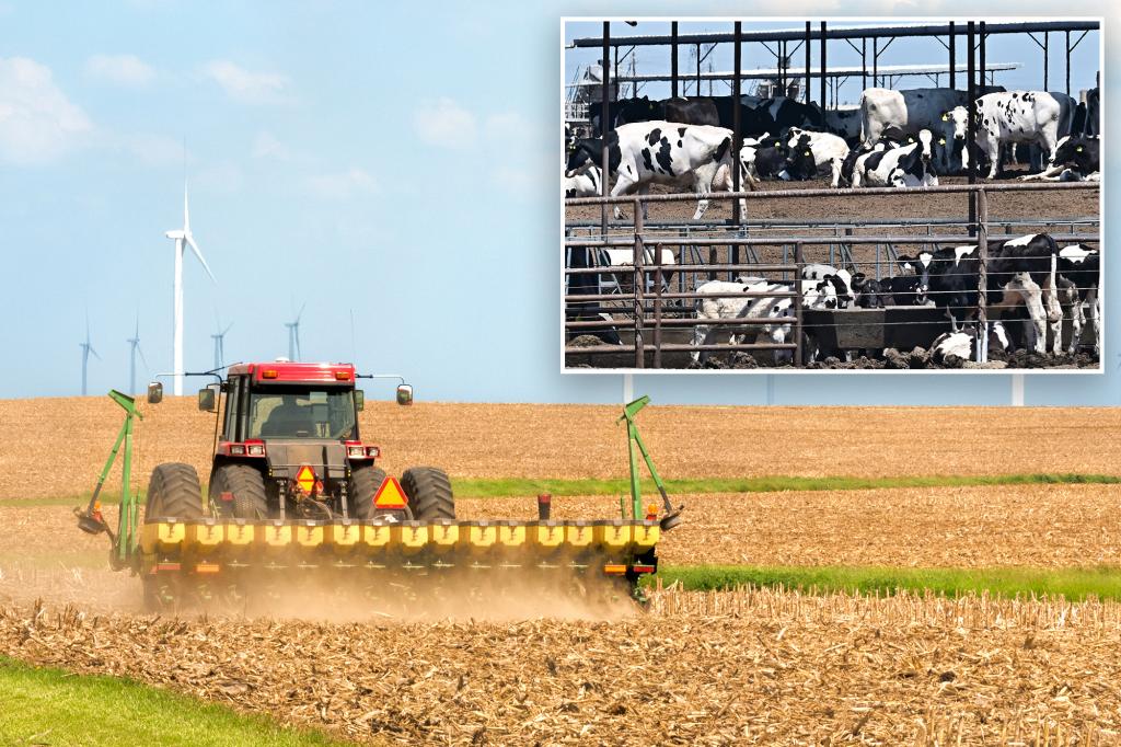 US agriculture industry in ‘full-blown crisis’ as Trump tariffs shrink Chinese orders