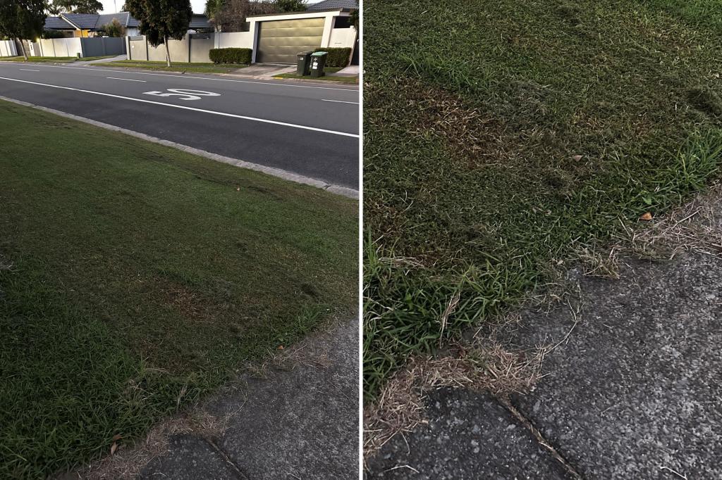 Aussie shares story about nightmare neighbor