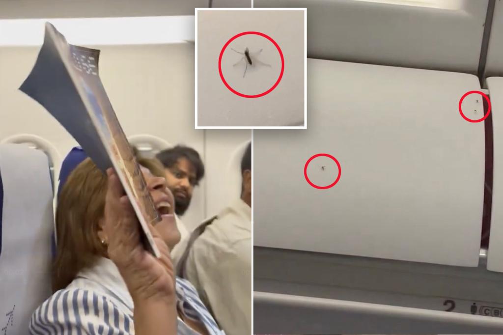 Mosquitoes takes over entire plane