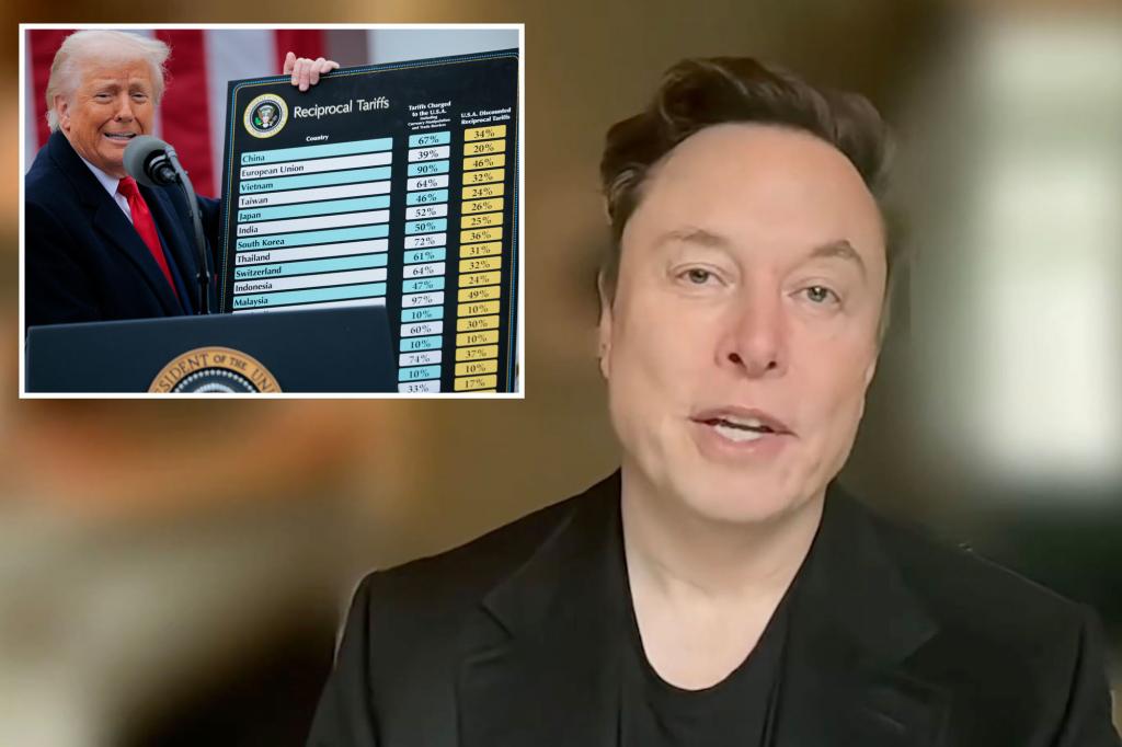 Elon Musk appears to break with Trump admin on tariffs, slams Peter Navarro