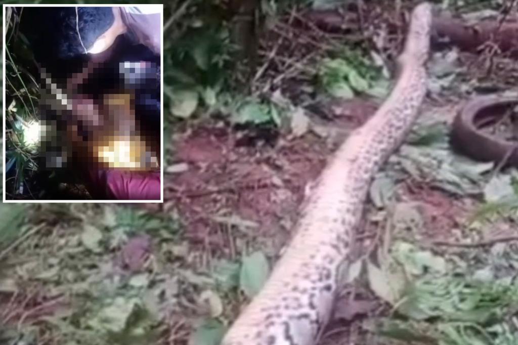 Grandmother’s head yanked out of 23-foot python’s mouth after she went missing in Indonesia