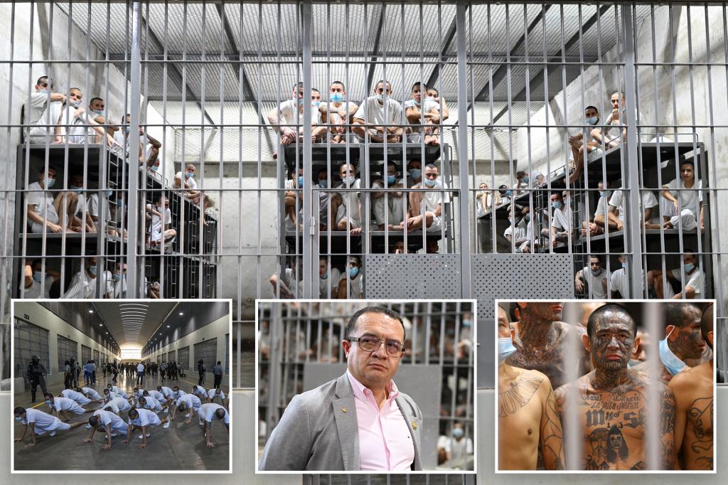 Costa Rican bigwig tours El Salvador’s ‘mega prison’ for solution to out-of-control migrant gang war