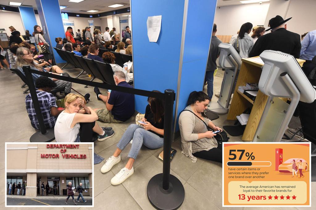 53% of Americans will suffer through DMV for loved ones: poll