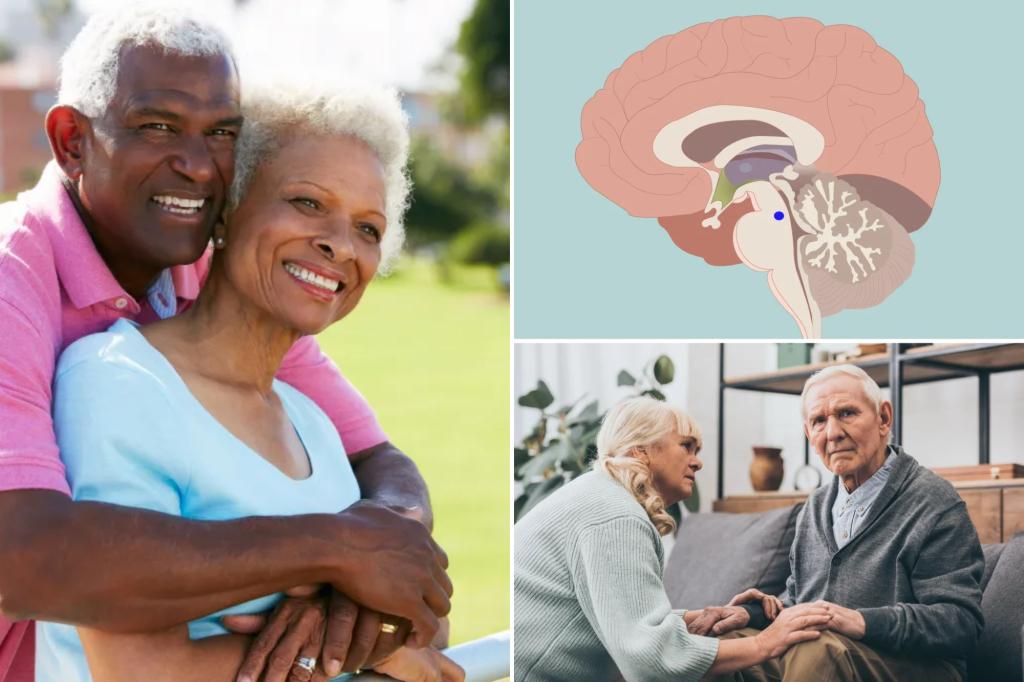 Key to healthy aging may be found in brain’s ‘blue spot’