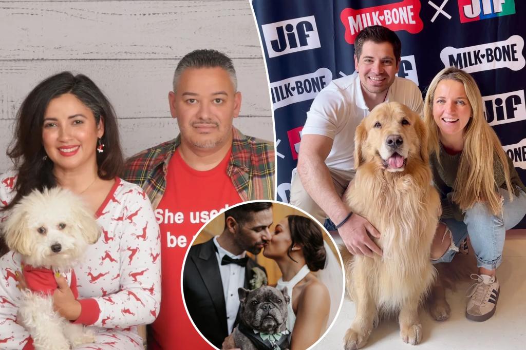 Married NYC pet owners love their pups more than partners