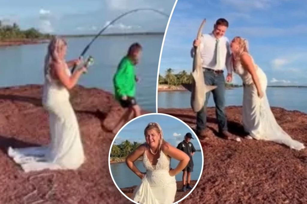 Bride catches shark while taking wedding photos at beach in unforgettable moment