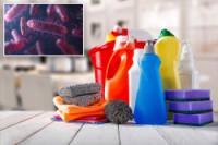This household appliance may be a breeding ground for bacteria