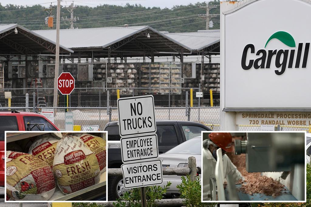 Exclusive | Top US turkey producer — maker of Shady Brook Farms –