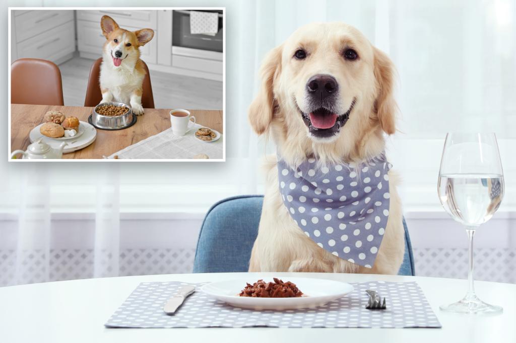 Shocking number of dog owners let pets sit at table: survey