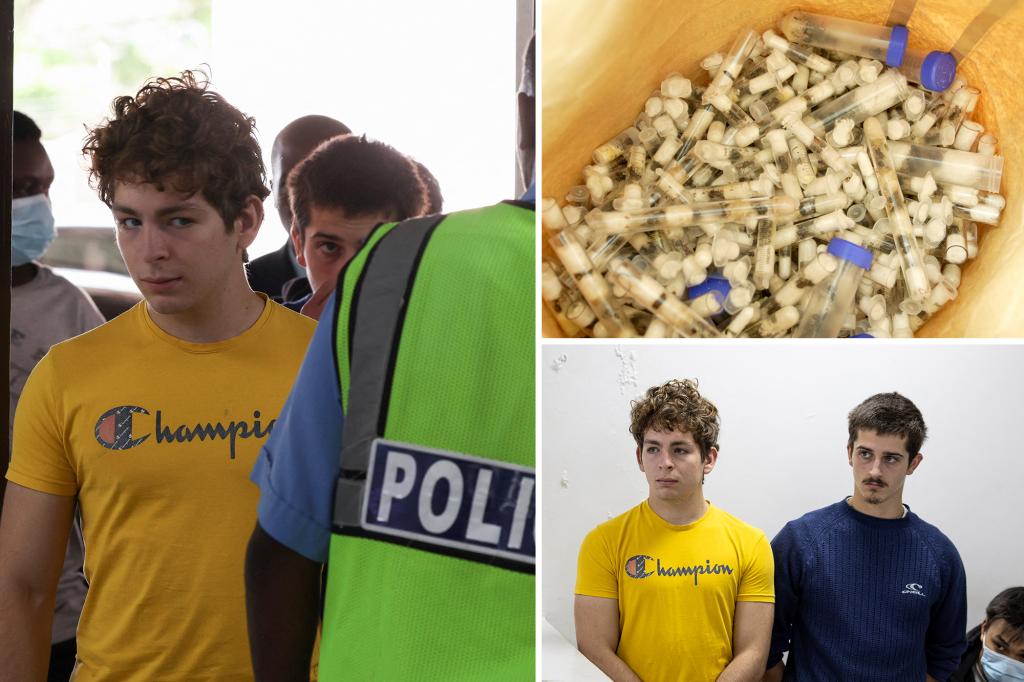 Belgian teens found with 5,000 ants in Kenya learn their fate