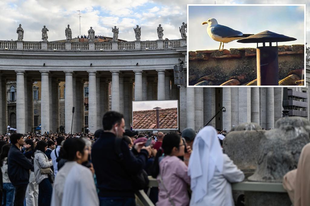 Sistine Chapel rooftop seagull will be first to know there’s a new pope