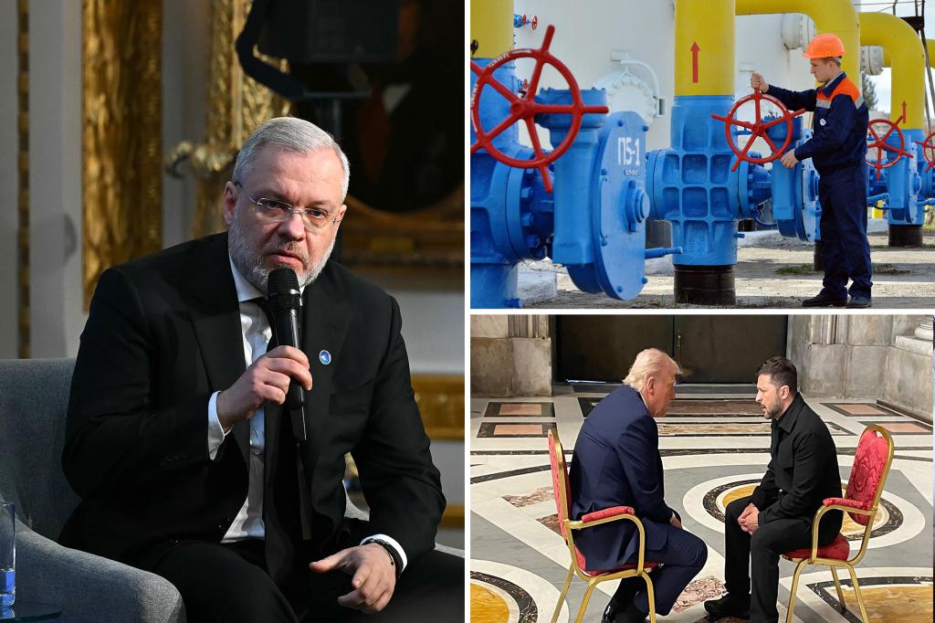 US, Ukraine can immediately begin capitalizing on mineral deal through natural gas sales: Kyiv’s energy minister