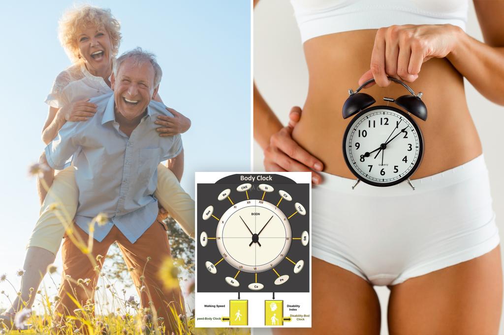 University of Washington School of Medicine body clock tool calculates people’s biological age