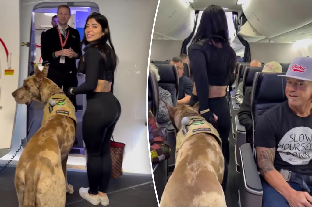 Sexy influencer brings huge dog as service animal on flight — here’s how passengers reacted