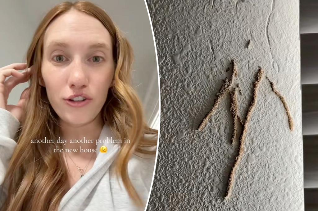Dream house turns into nightmare ordeal after homeowners’ devastating discovery