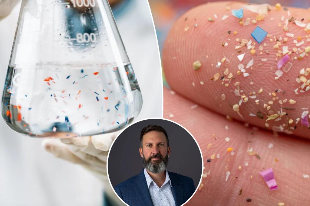 How microplastics can devastate the immune system: new study