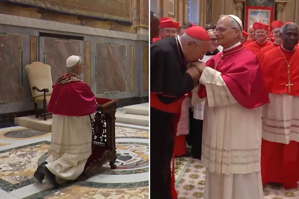 Vatican gives unprecedented behind-the-scenes look at moments after Pope Leo XIV accepted papacy