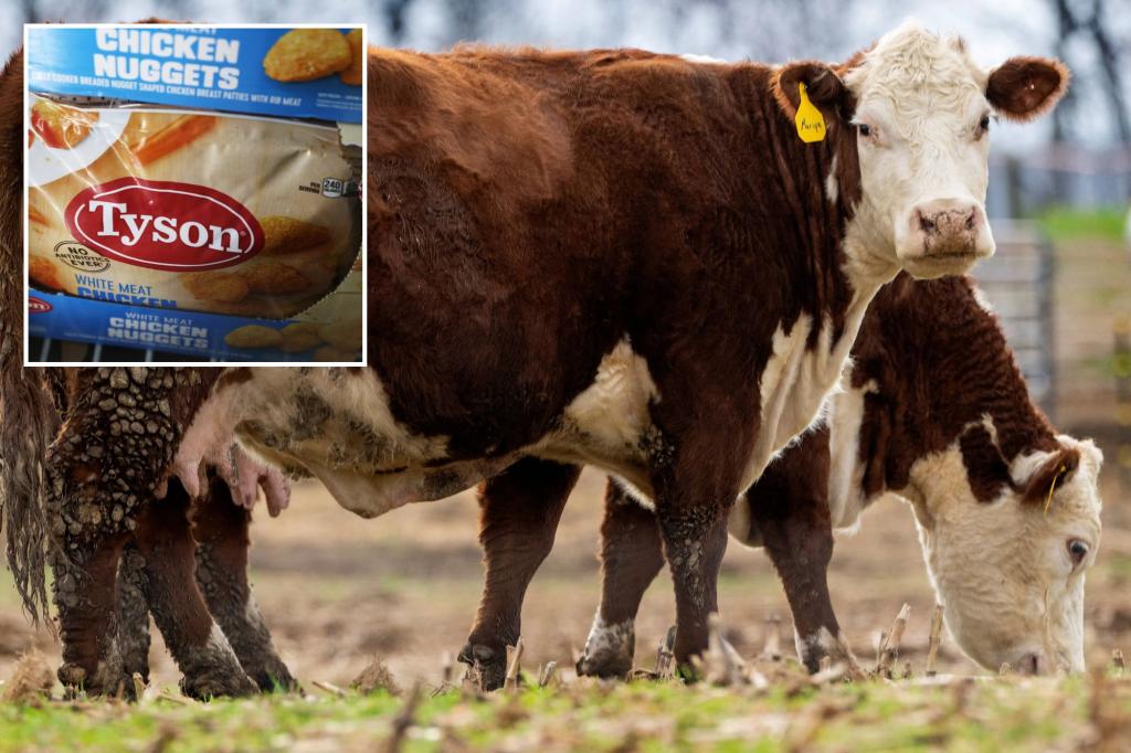 Tyson Foods shares sink as meatpacker warns of ‘challenging market conditions’ for beef