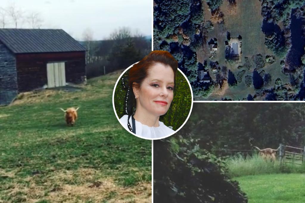 Parker Posey considers selling NY home due to reno costs
