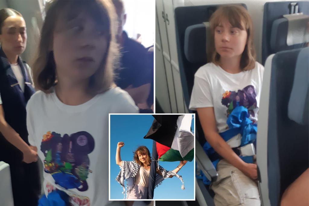 Israel says Greta Thunberg has been deported after Gaza-bound ship she was on was seized