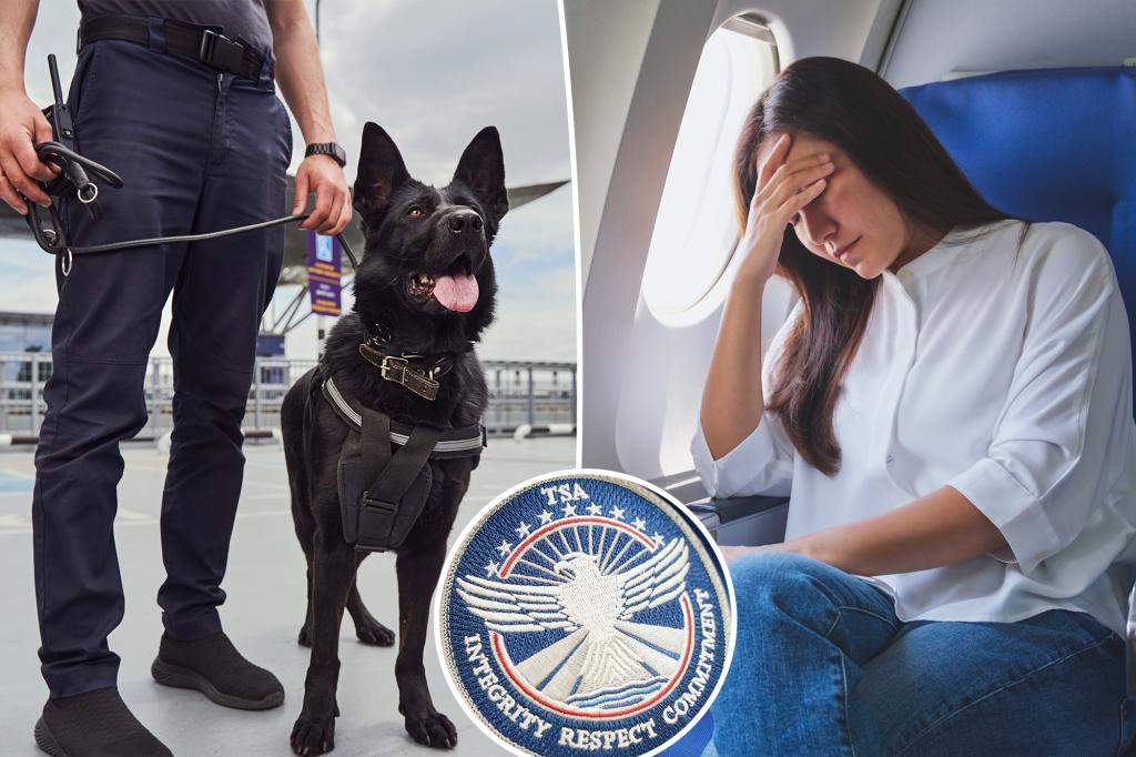 I was hounded by airport security dogs over fruit — and almost fined 0