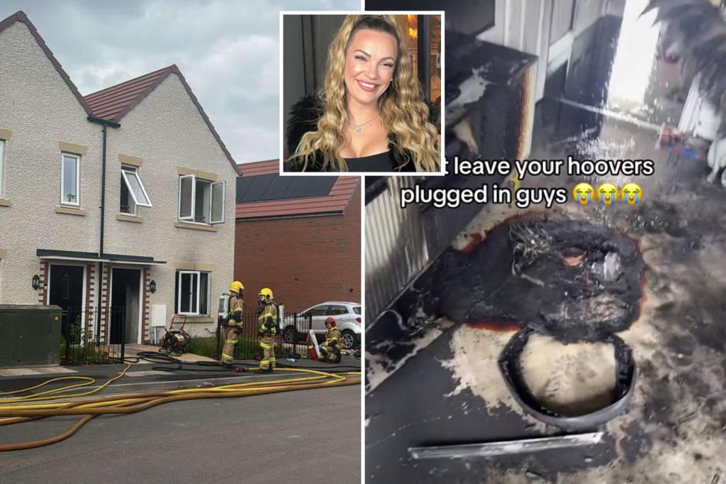 ‘The damage it’s caused is crazy’