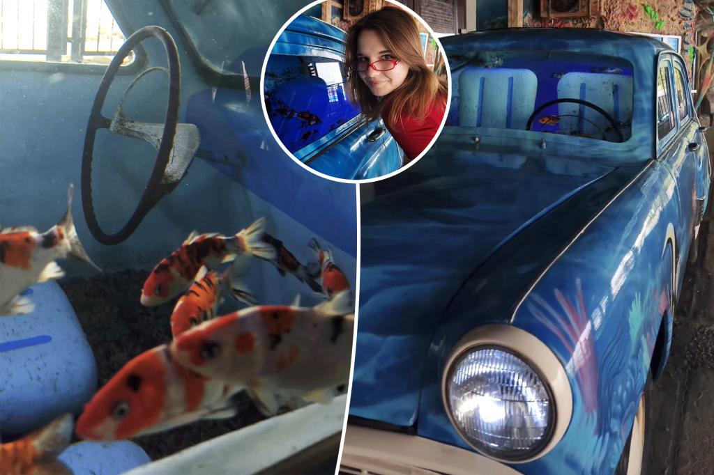 Student stumbled across fish-filled car while enjoying beach day out