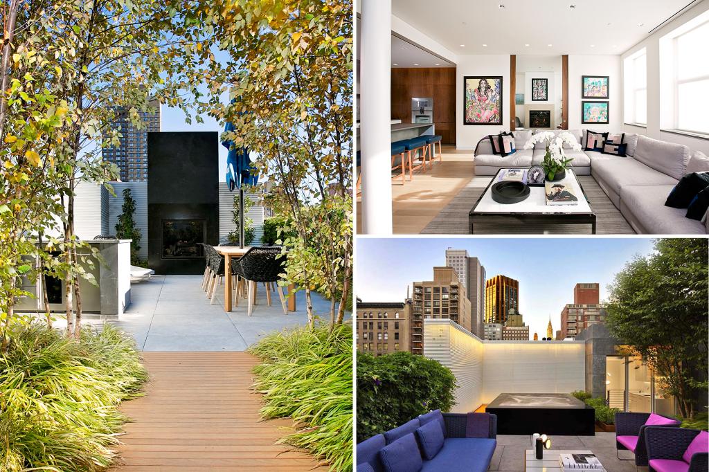 NYC penthouse with more than a dozen birch trees asks .99M