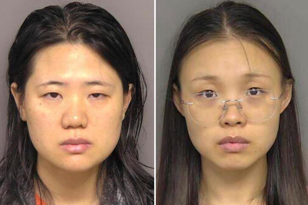 Chinese scientists, accused of smuggling biological matter into the US, will stay in jail