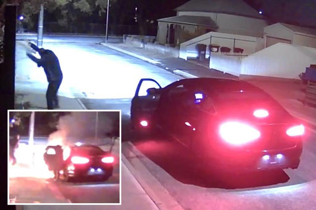 Alleged would-be arsonists accidentally set themselves on fire