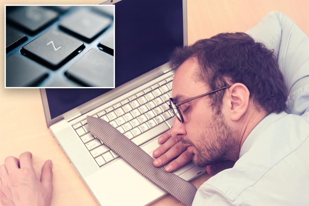 Man held down ‘Z’ key for hours to fake WFH