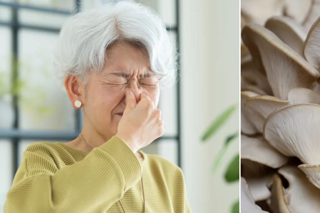 Why ‘old people smell’ happens — and a superfood to prevent it