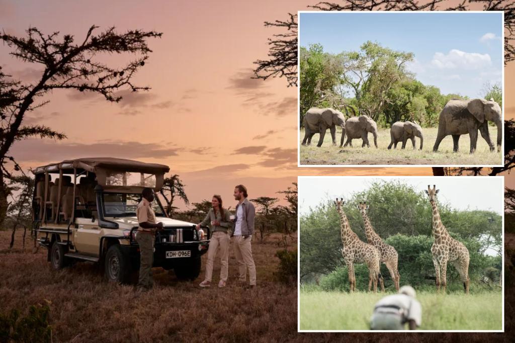 How to choose the perfect guide on your next safari