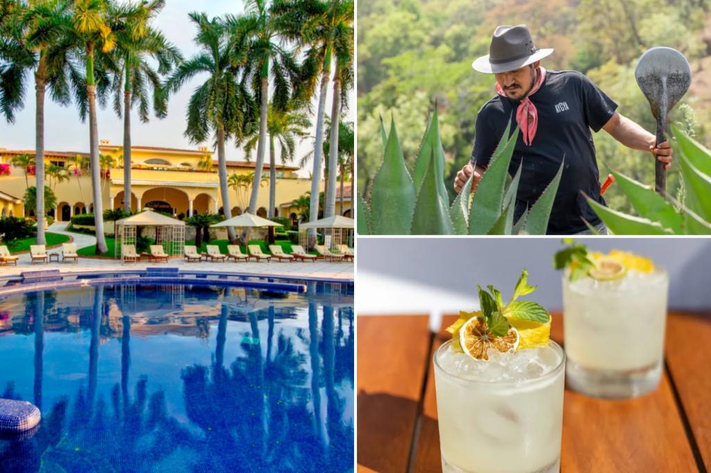 Where to try  raicilla in Puerto Vallarta Mexico