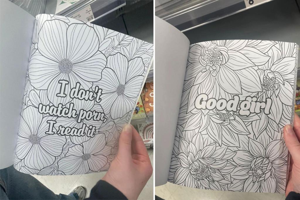 Shoppers horrified over NSFW coloring book