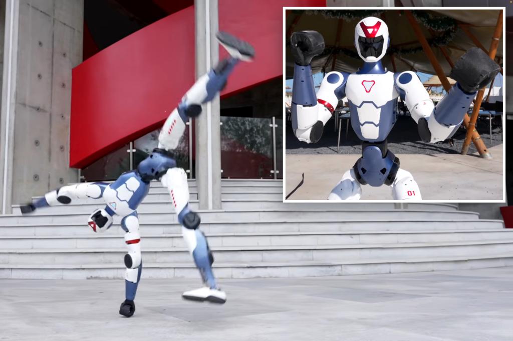 This humanoid robot can run, cartwheel and fist-fight – and it costs just K