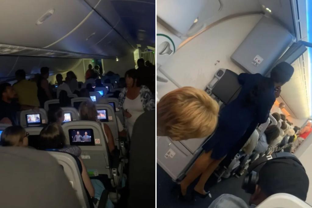 Deranged plane passenger tries to open cabin doors mid-flight