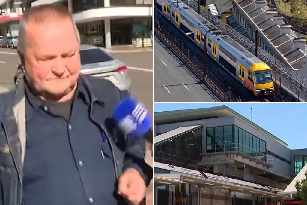 Australia train passenger Emil Holaj arrested after taking money he discovered in missing bag